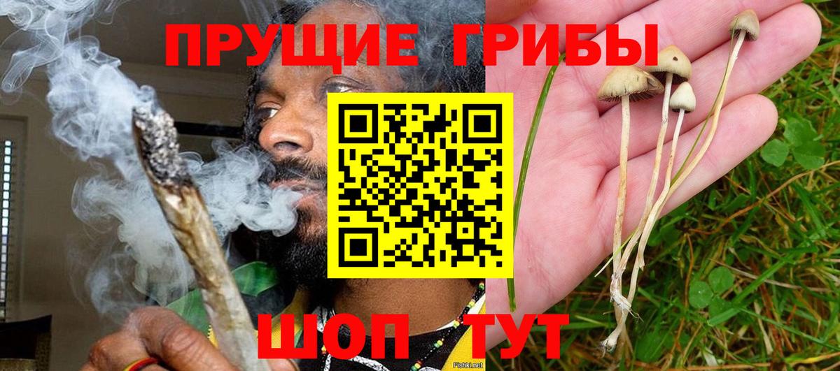 Галлюциногенные грибы GOLDEN TEACHER Менделеевск