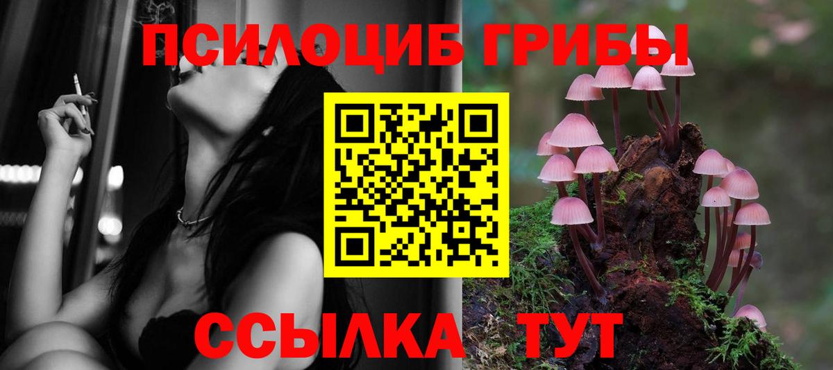 Менделеевск  Псилоцибиновые грибы Magic Shrooms  Вход с VPN 